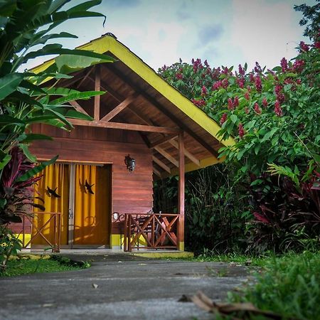 Selvita Lodge Arenal La Fortuna Екстериор снимка