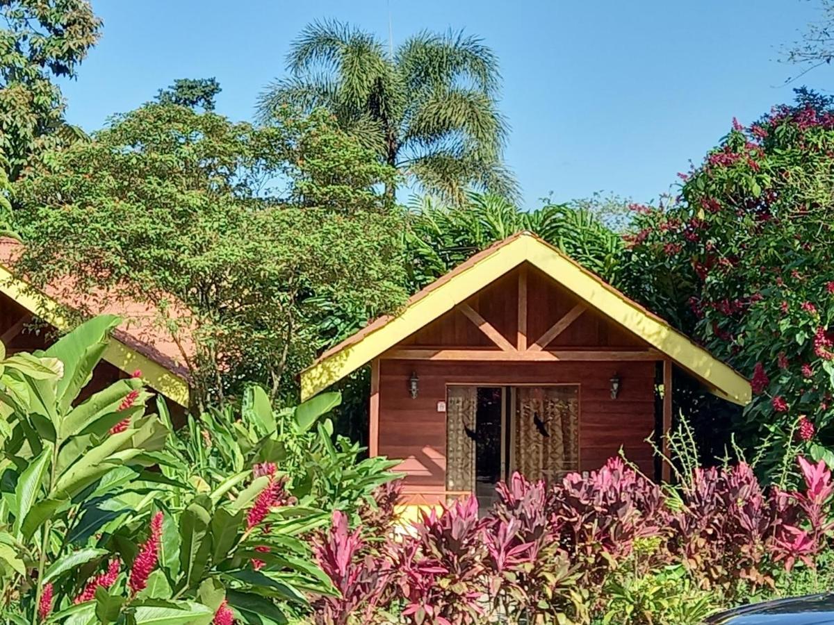Selvita Lodge Arenal La Fortuna Екстериор снимка