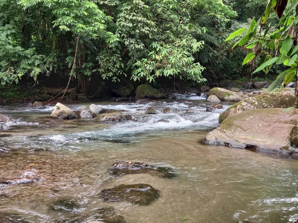 Selvita Lodge Arenal La Fortuna Екстериор снимка