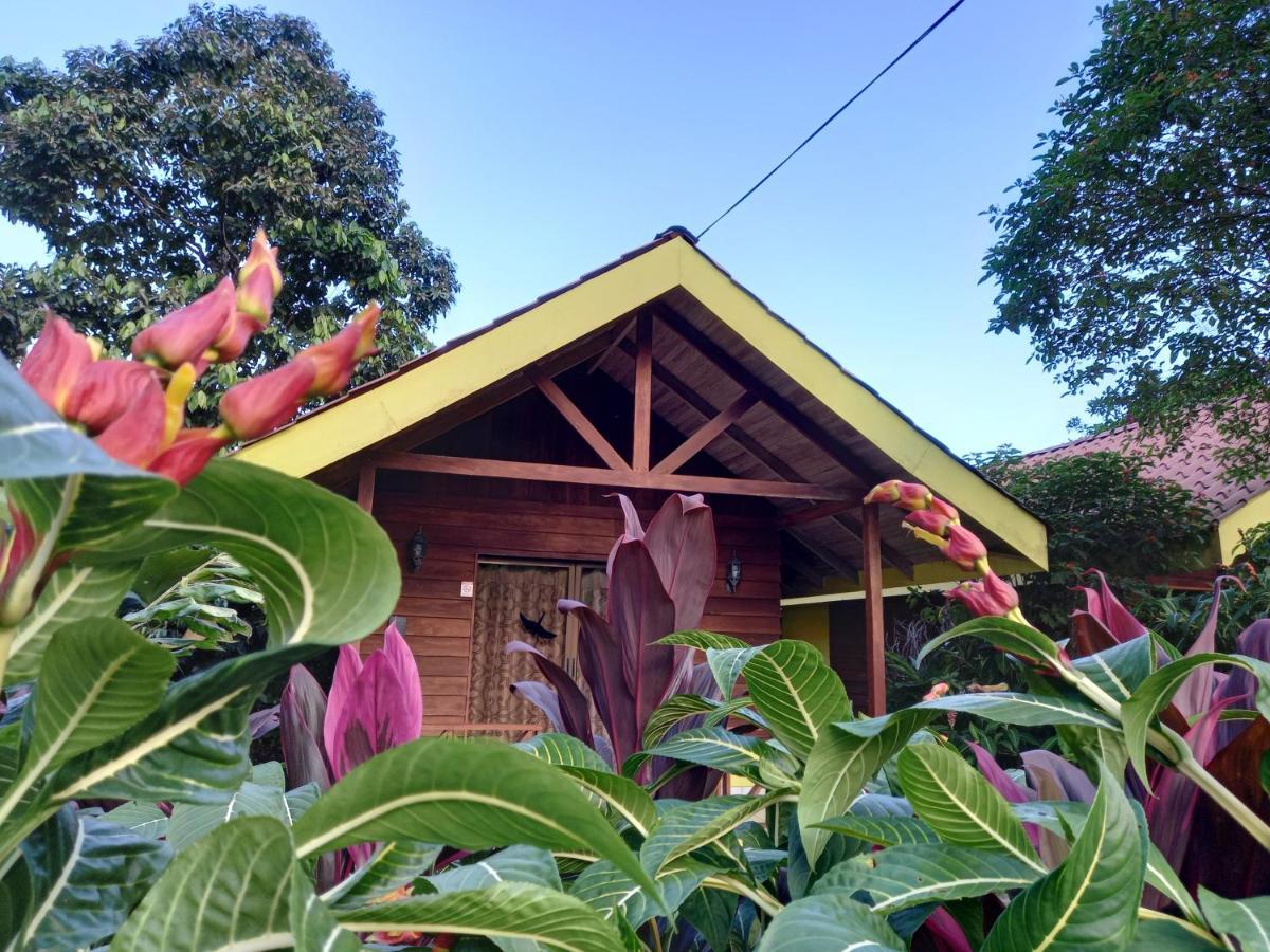 Selvita Lodge Arenal La Fortuna Екстериор снимка